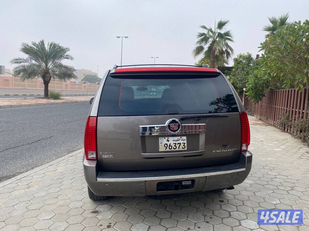 كدلك سكاليد صبغ الوكاله الفل2