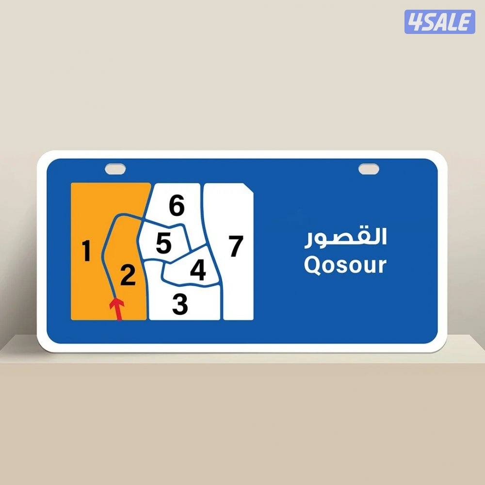 للبيع بيت في القصور0