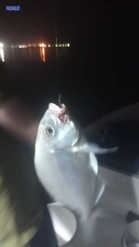 ايجار طراد حداق تاجير طراد رحلات بحرية تاجير قوارب صيد3