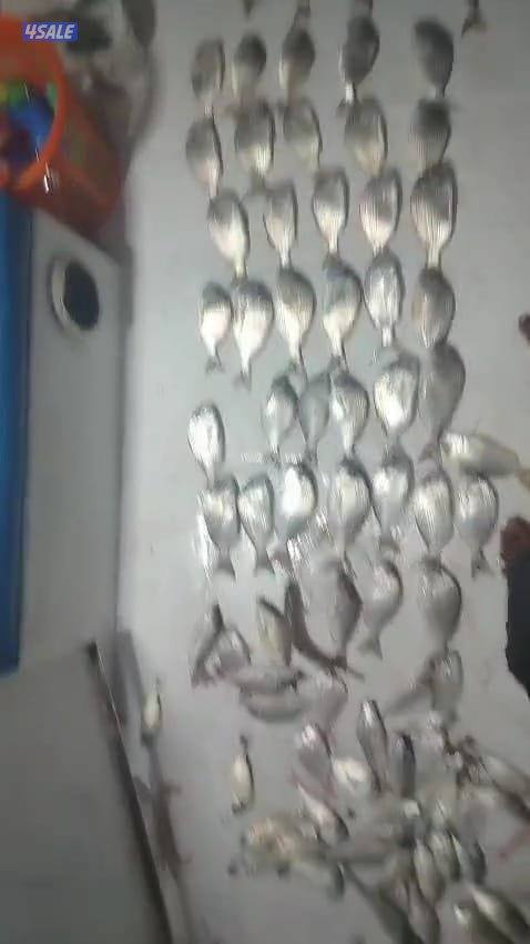 ايجار طراد حداق تاجير طراد رحلات بحرية تاجير قوارب صيد4