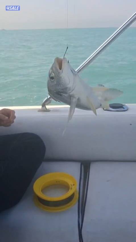 ايجار طراد حداق تاجير طراد رحلات بحرية تاجير قوارب صيد8