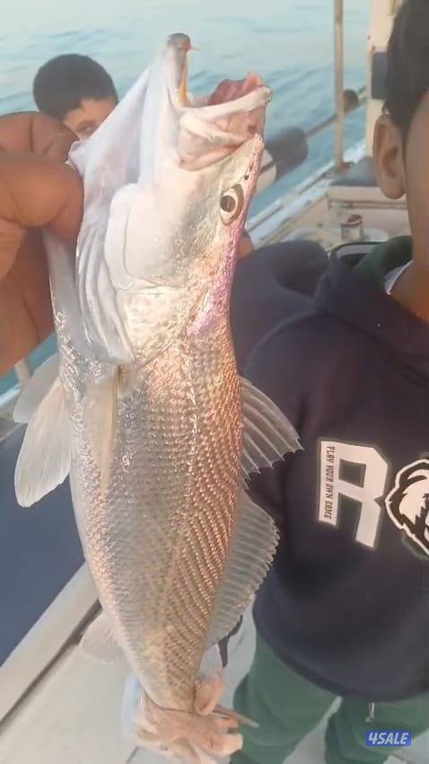 ايجار طراد حداق تاجير طراد رحلات بحرية تاجير قوارب صيد11