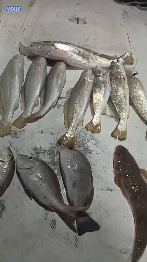 ايجار طراد حداق تاجير طراد رحلات بحرية تاجير قوارب صيد14