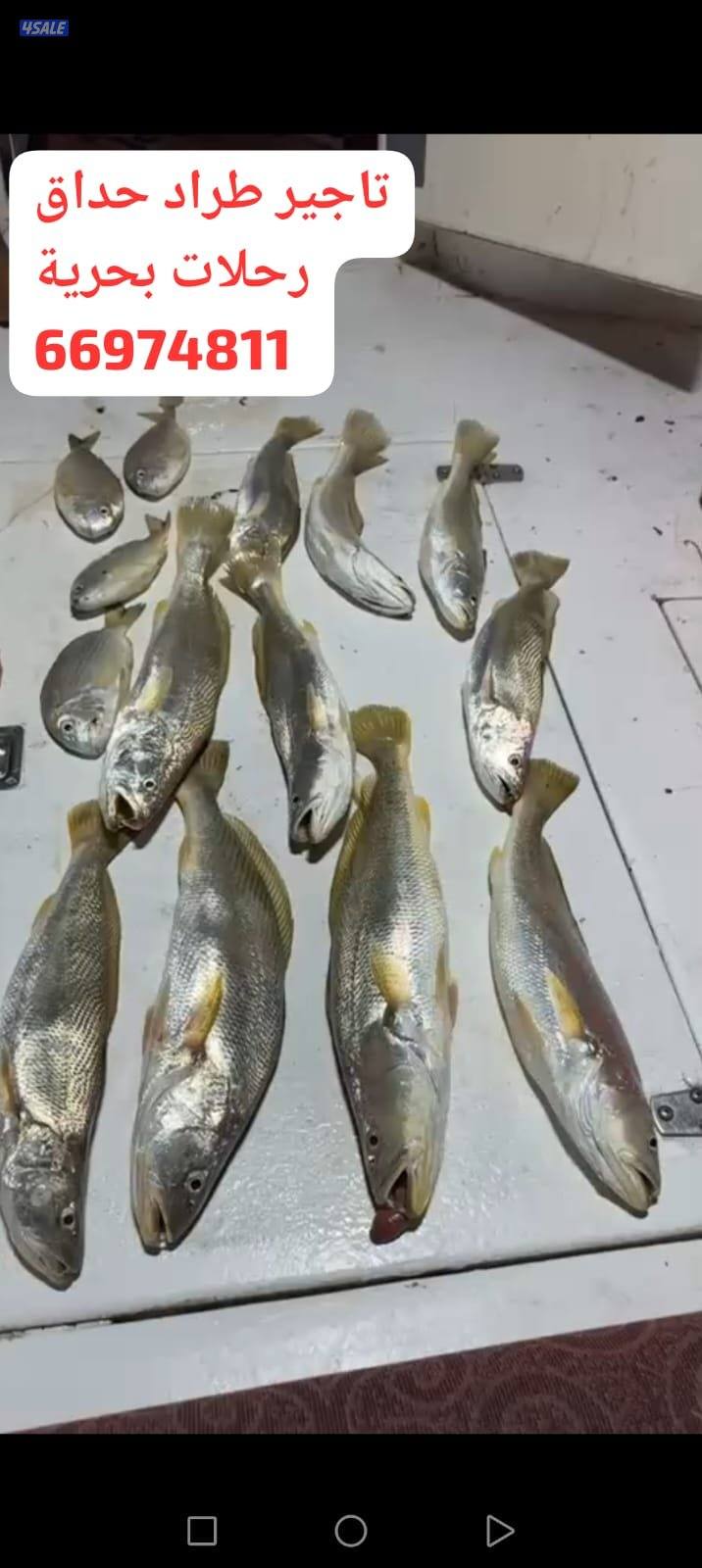 ايجار طراد حداق تاجير طراد رحلات بحرية تاجير قوارب صيد15