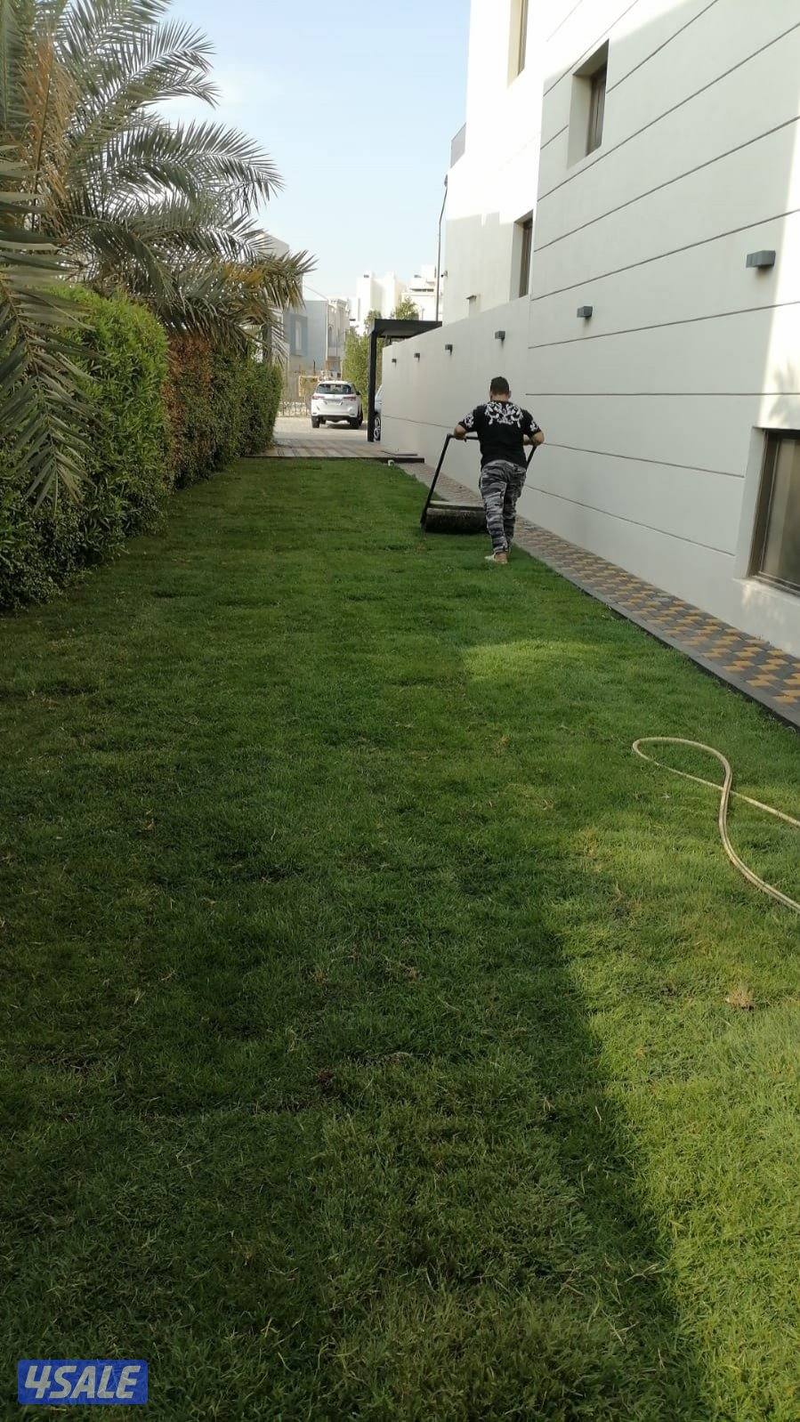 ابو علي لشبكات الري كونترول وصيانتها زراعه التيل الطبيعي1