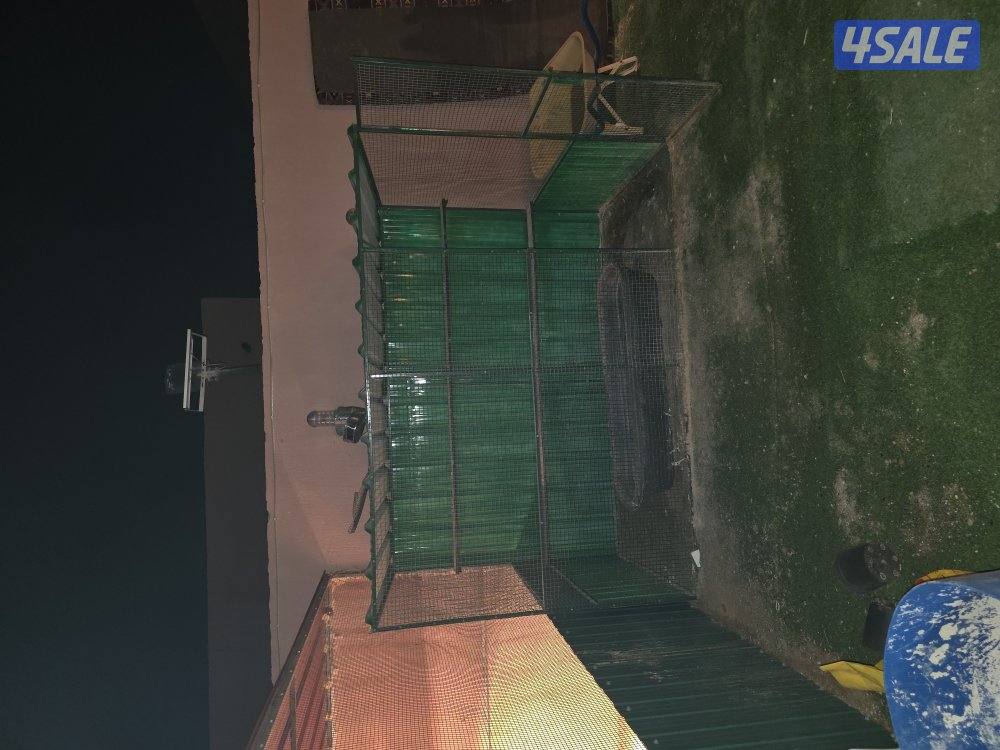 للبيع قفاص تفصال جديد وفي جاهزين المكان كبد1