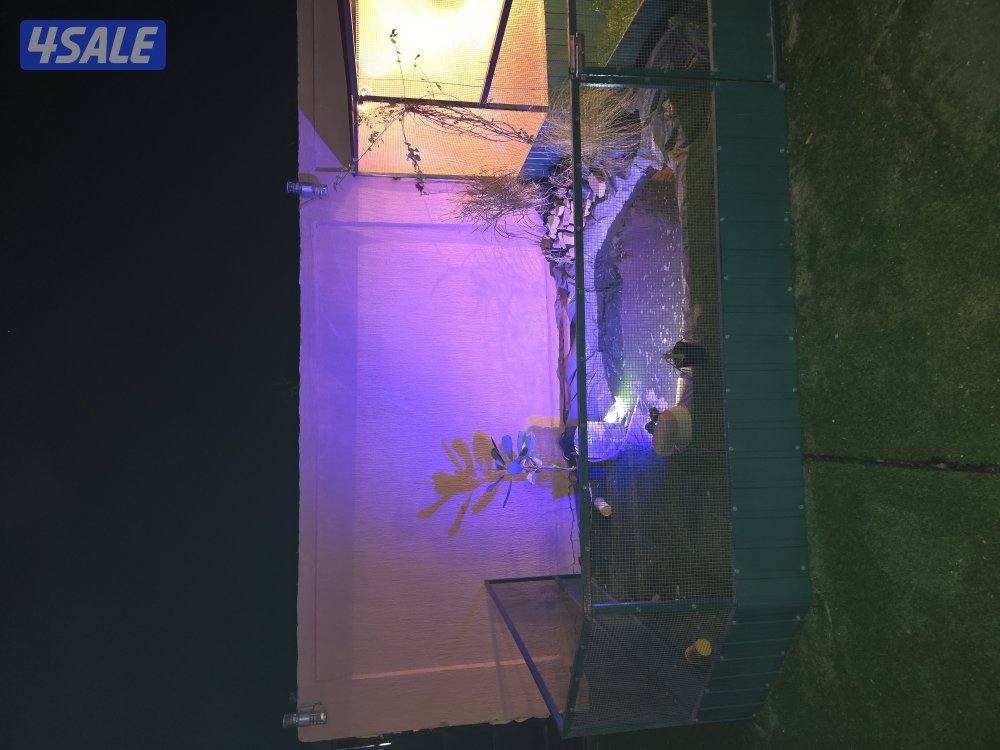 للبيع قفاص تفصال جديد وفي جاهزين المكان كبد3