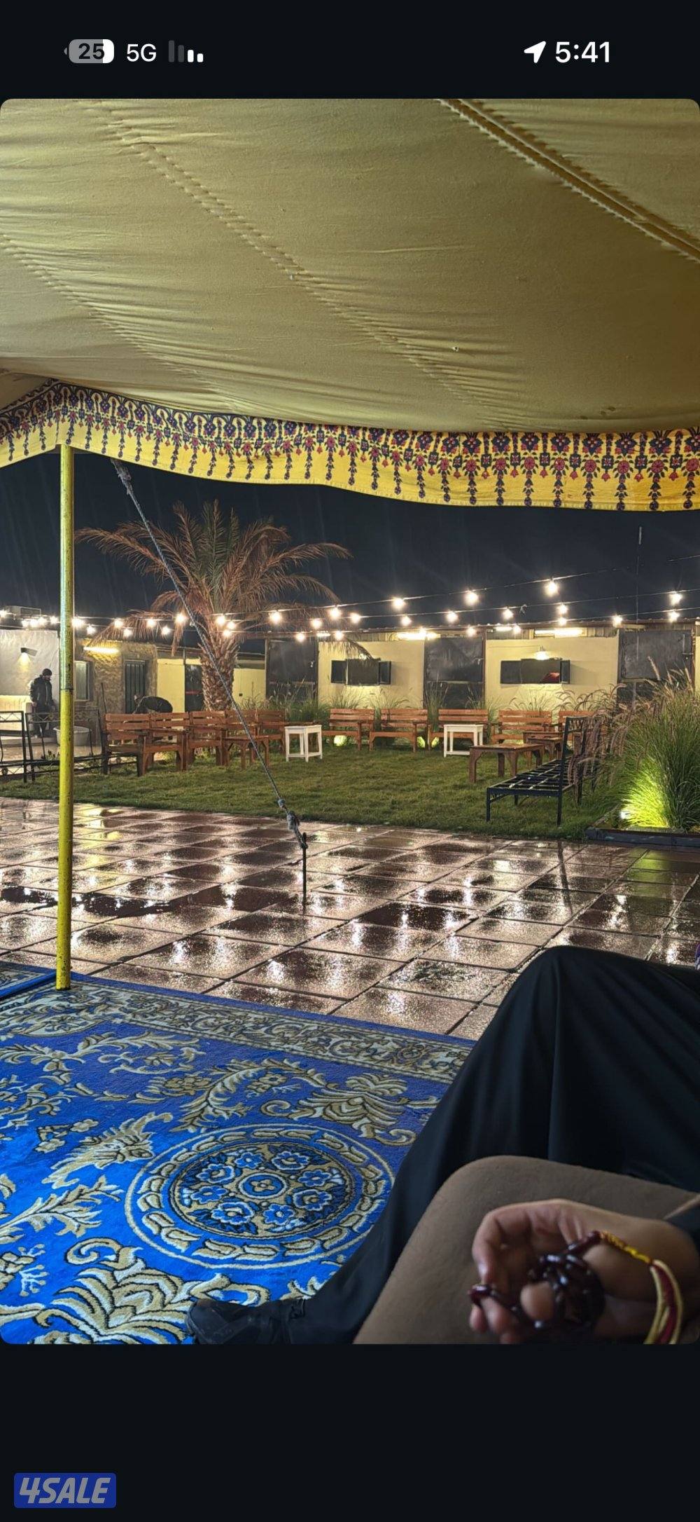 ( مربط النوايف للخيل العربيه .)3