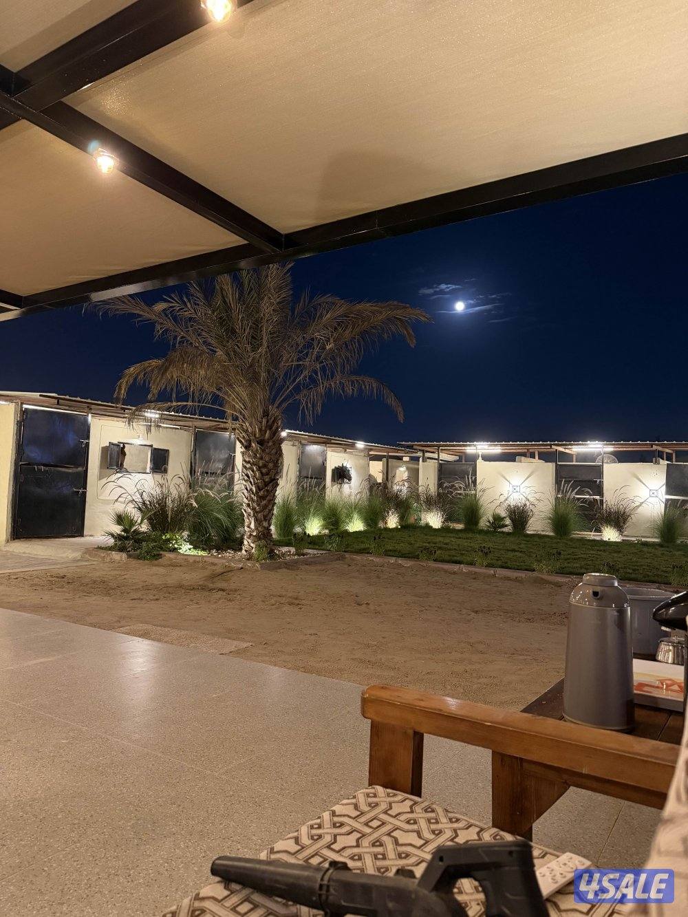 ( مربط النوايف للخيل العربيه .)4