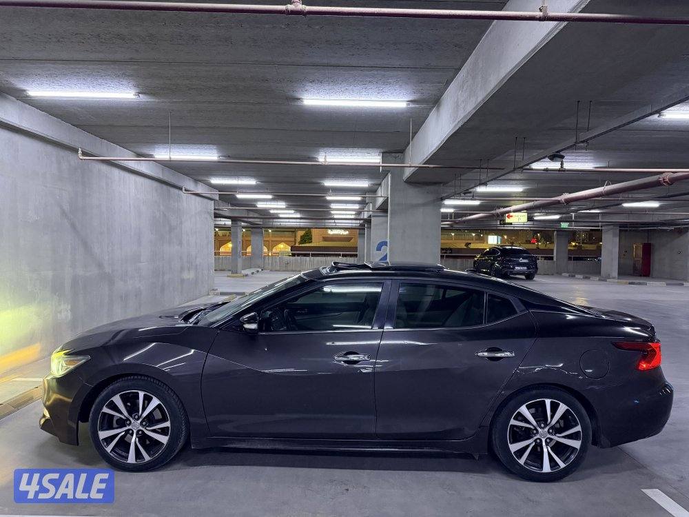 ‏أعلى درجة 2016 عداد فقط 16010