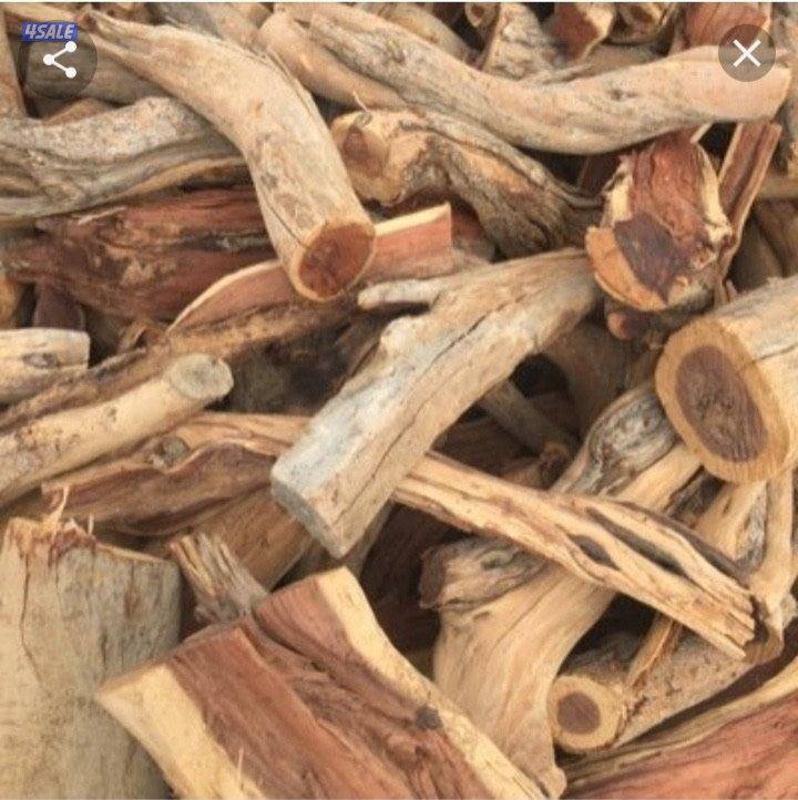 يتوفر لدينا حطب صغير وكبير ( شبوب - المخيمات - للاعراس )3