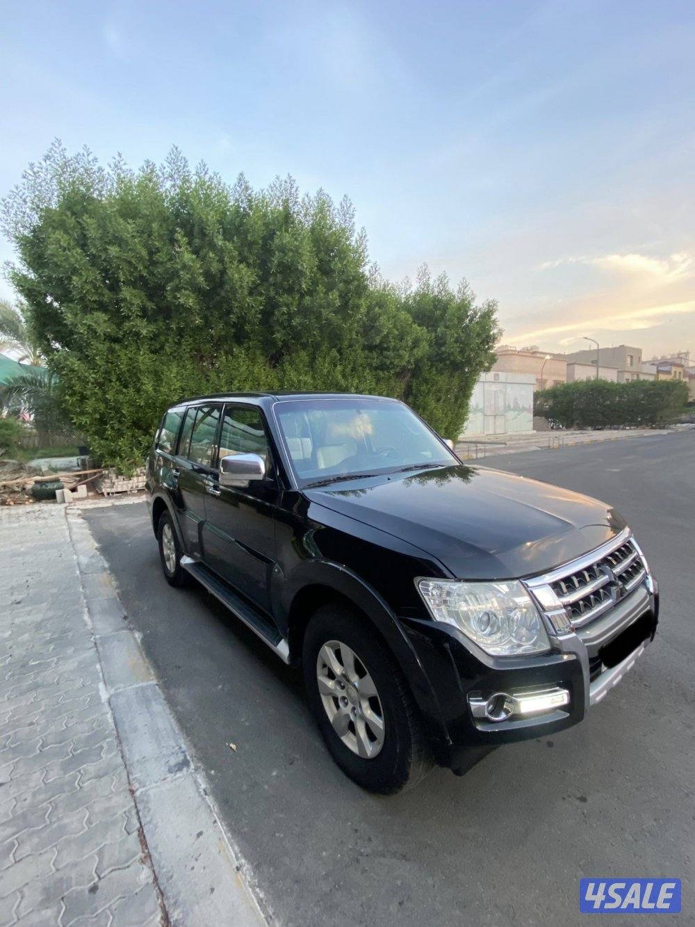 باجيرو / ٢٠١٧0