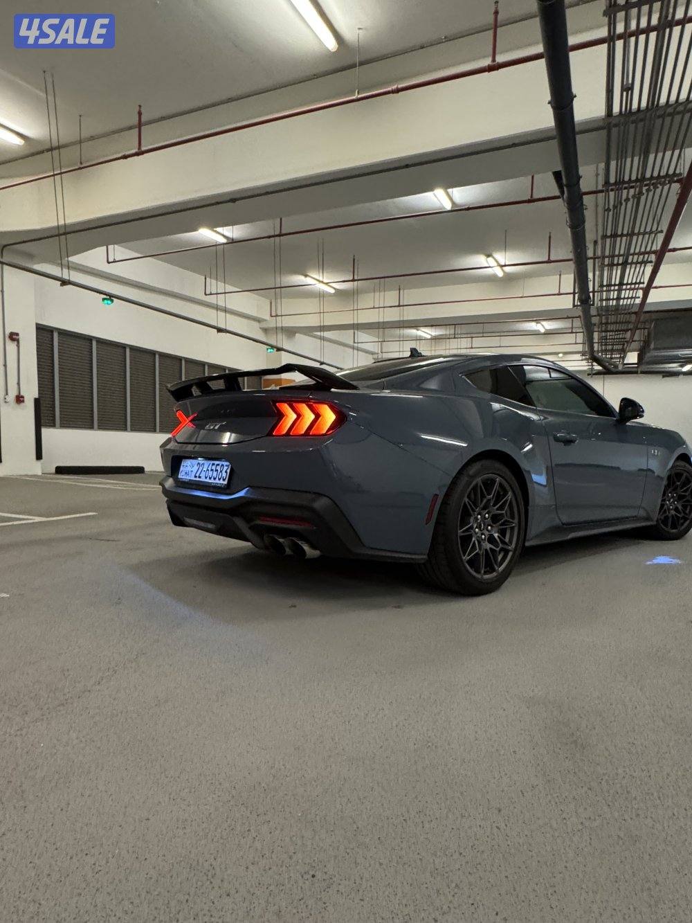 Mustang GT PERFOMANCE5