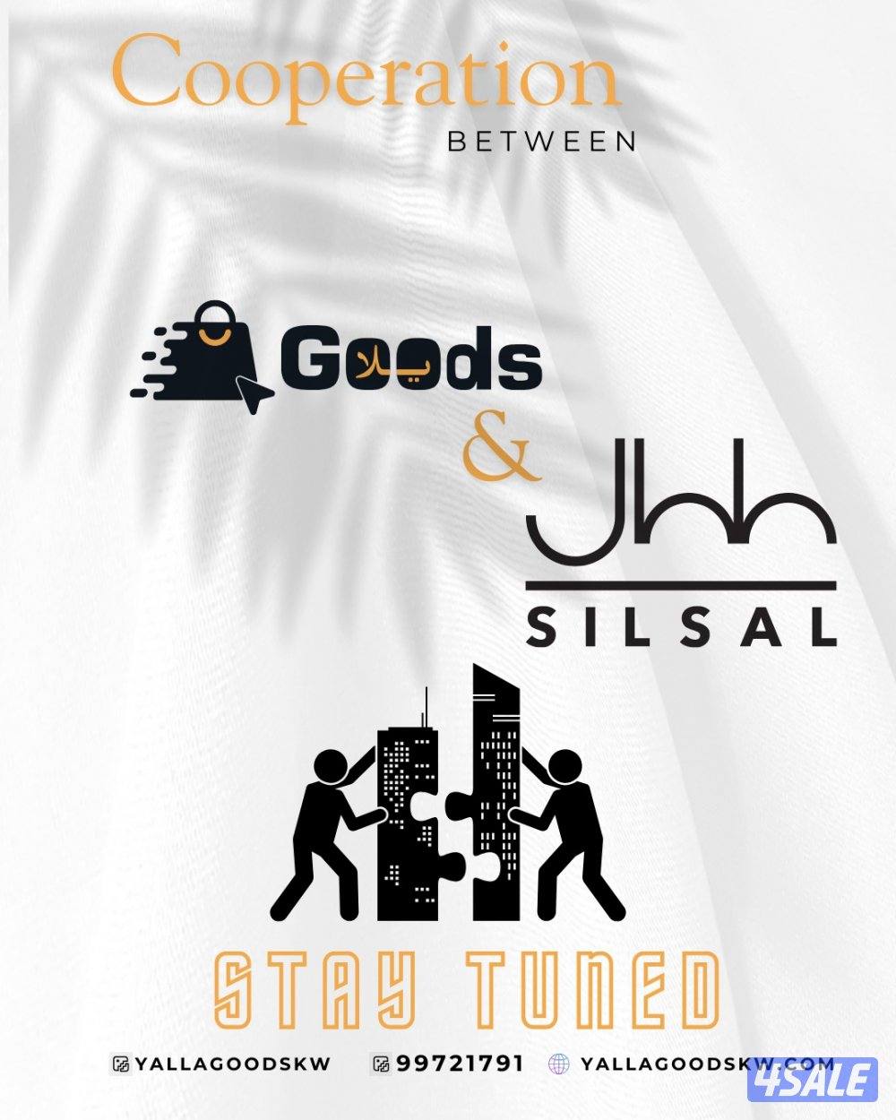 مصصمه بوستات واداره سوشيل ميديا1