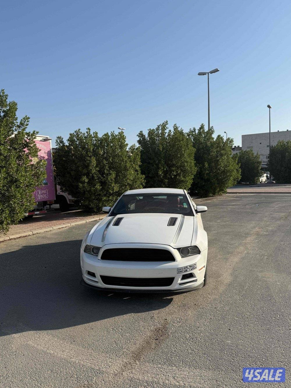 موستنق سبيشل كالفورنيا0