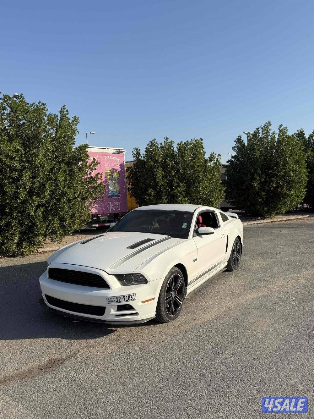 موستنق سبيشل كالفورنيا1