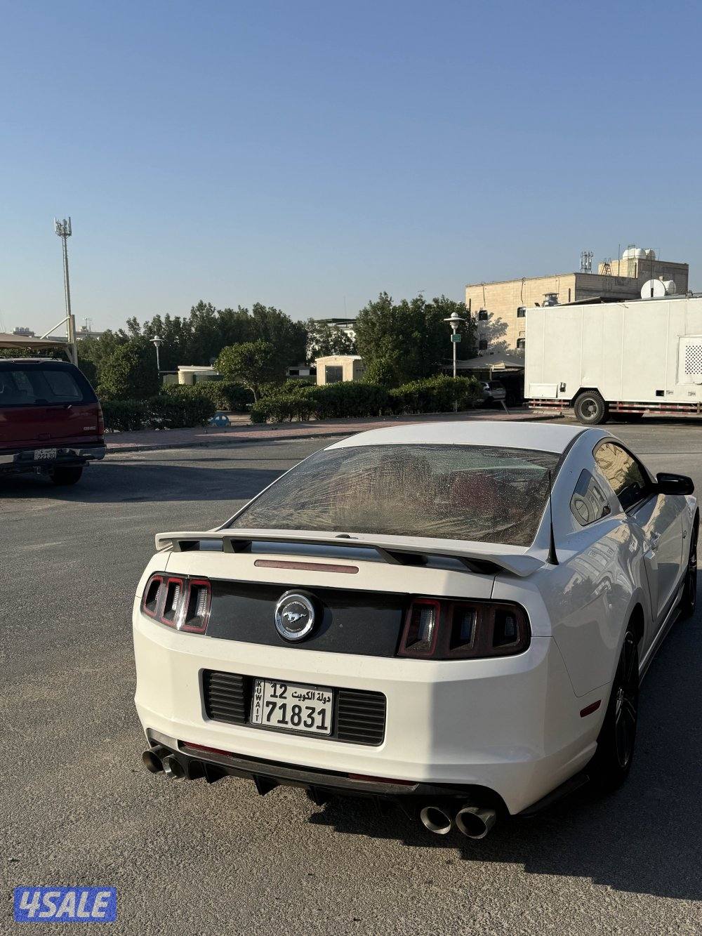 موستنق سبيشل كالفورنيا3