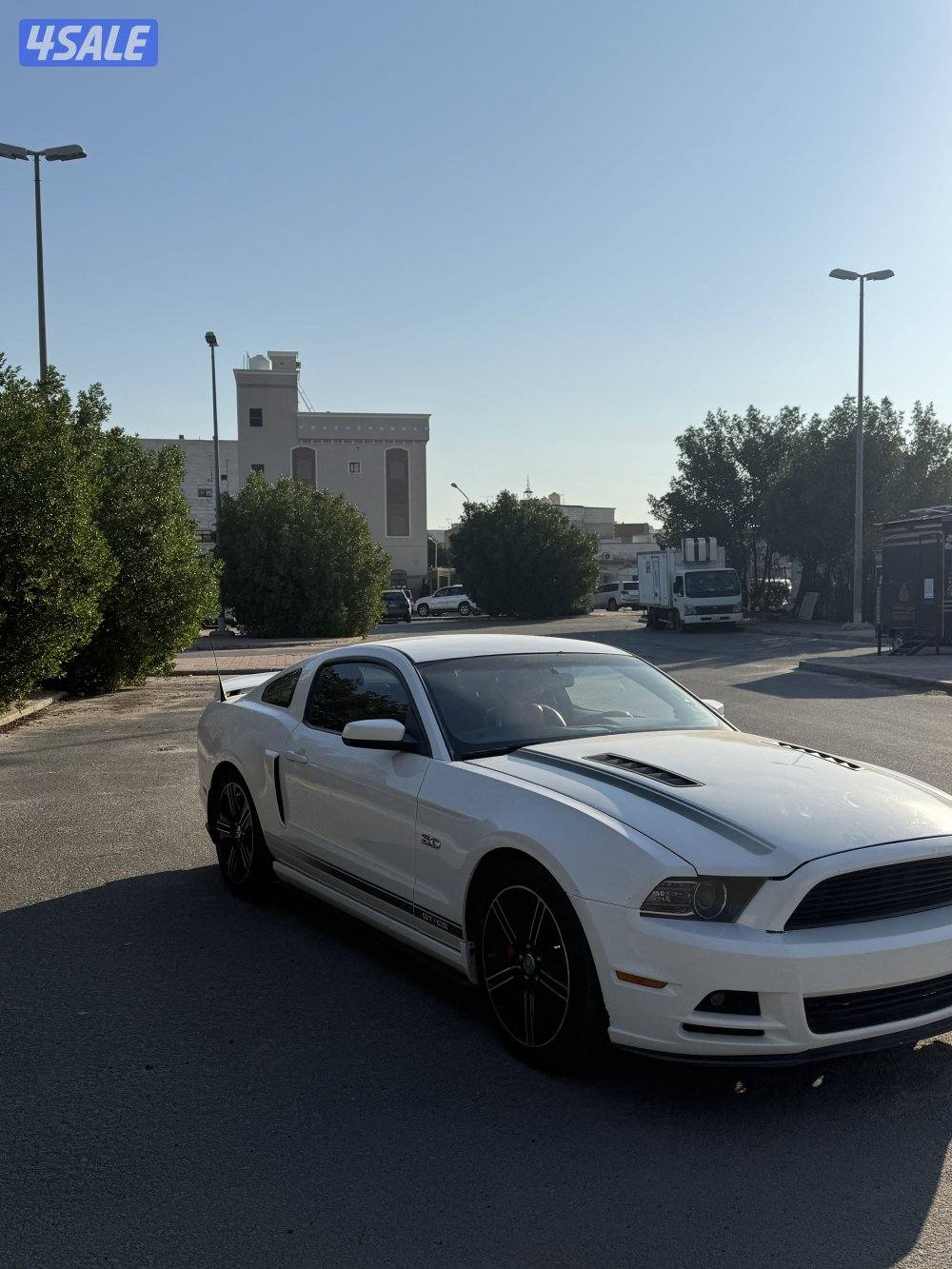 موستنق سبيشل كالفورنيا5