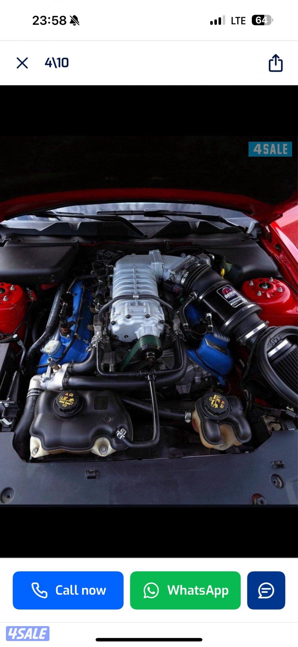 موستنق شلبي4