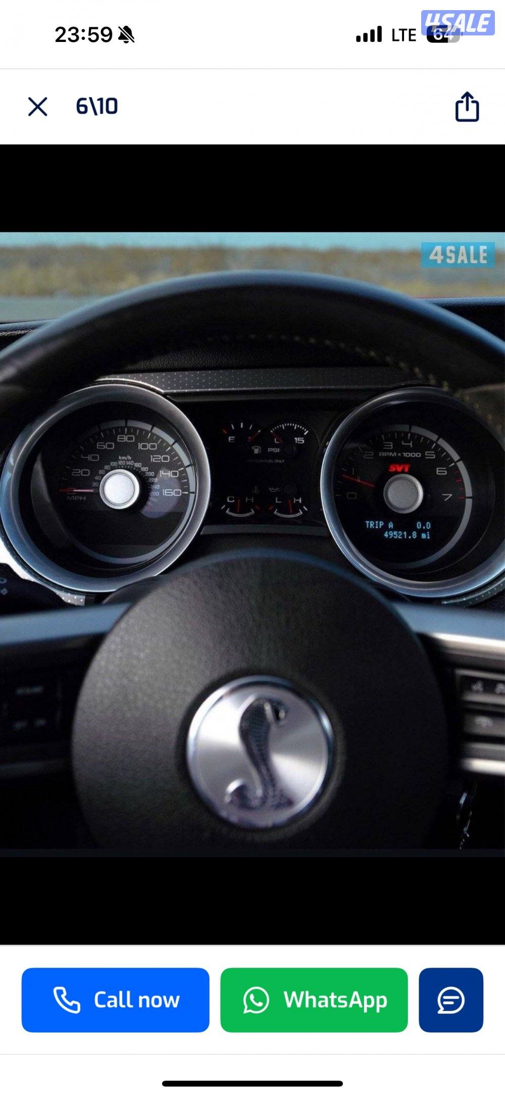 موستنق شلبي5