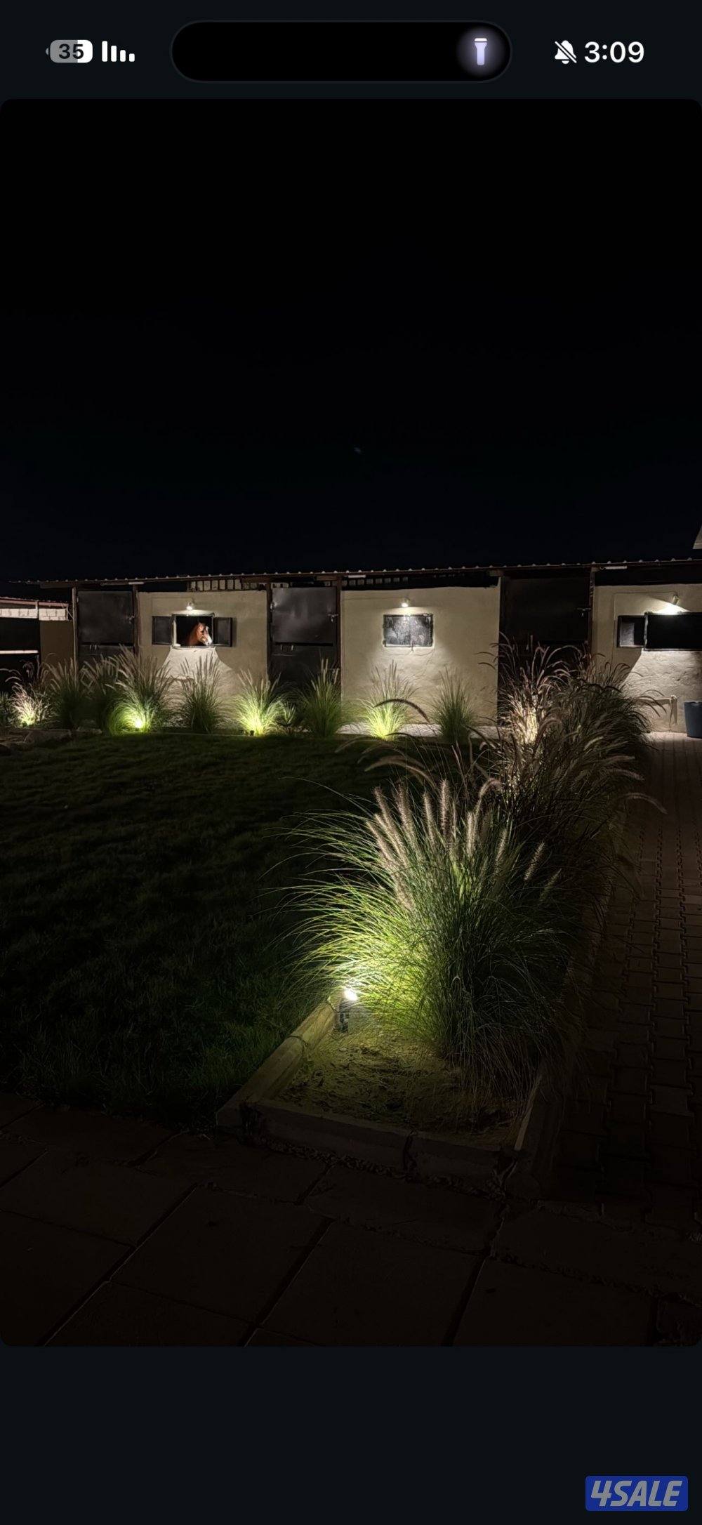 ( مربط النوايف للخيل العربيه .)6