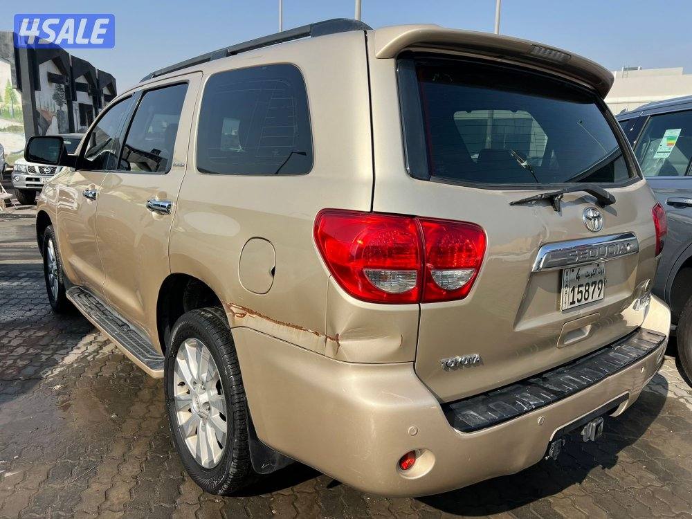 سيكويا بلاتينيوم1