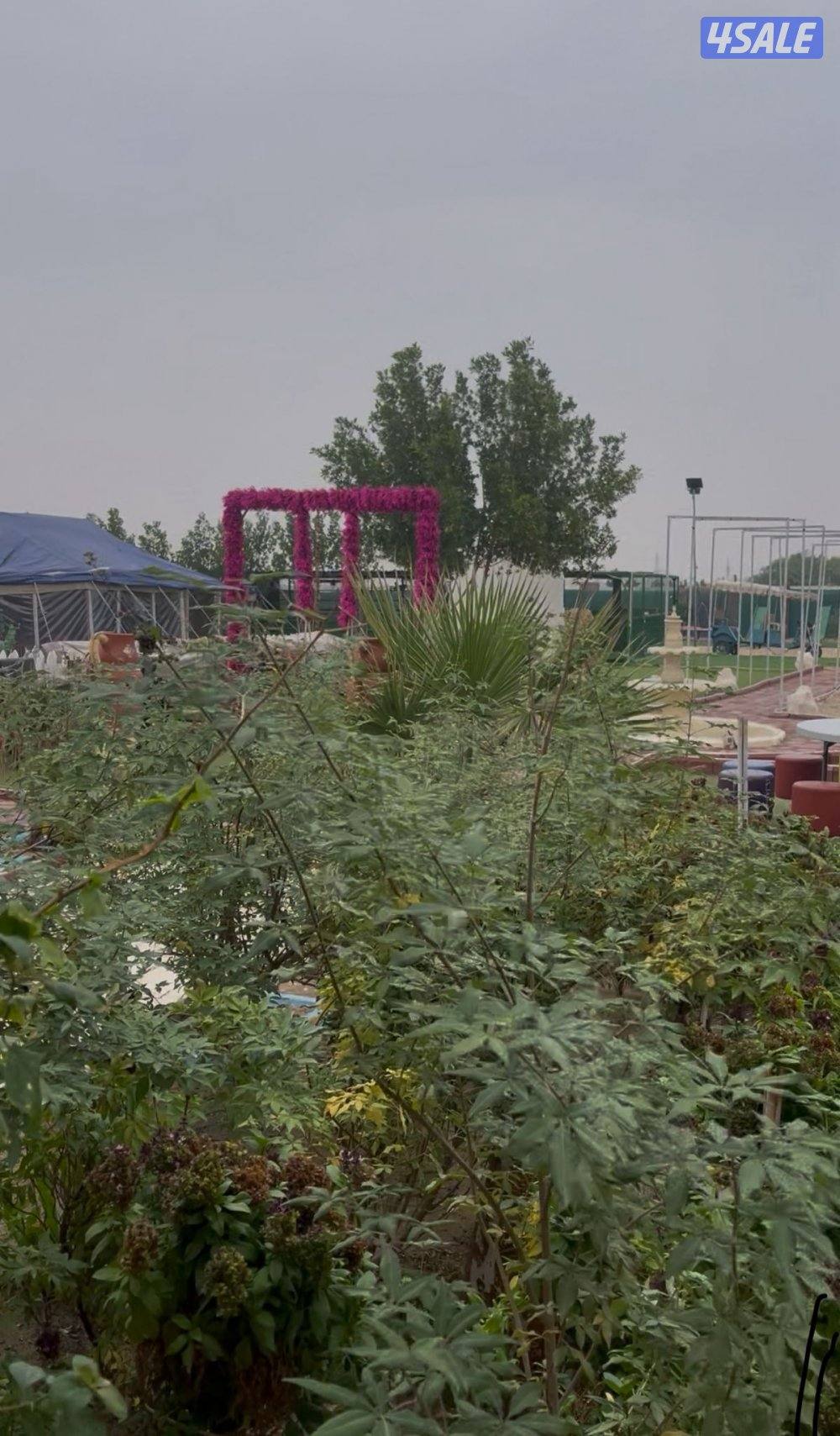 مخيم الاماكن 🌟  غيررر🌟9