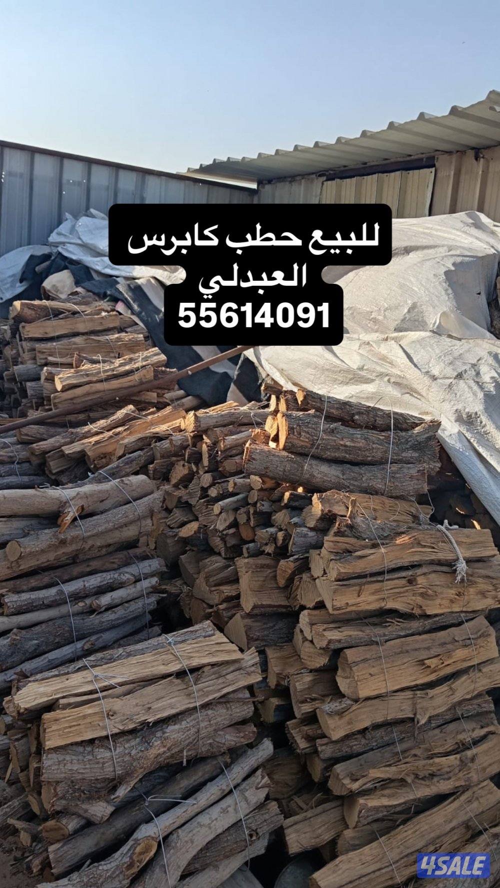 للبيع حطب كابرس العبدلي0