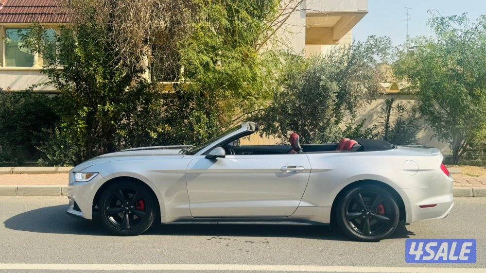 للبيع موستانج1