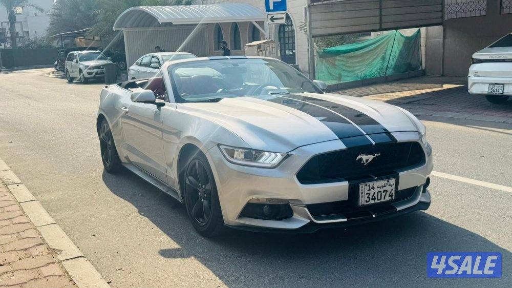 للبيع موستانج2