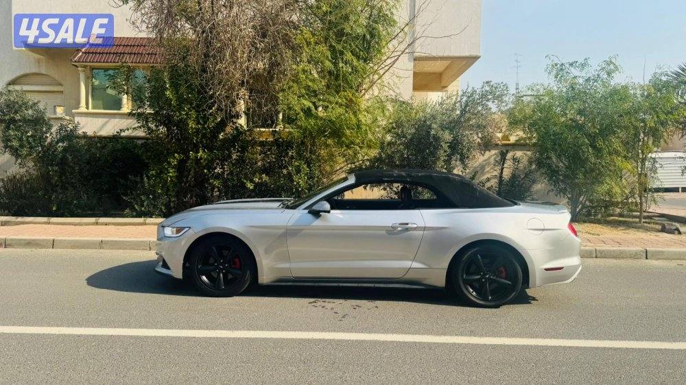 للبيع موستانج4
