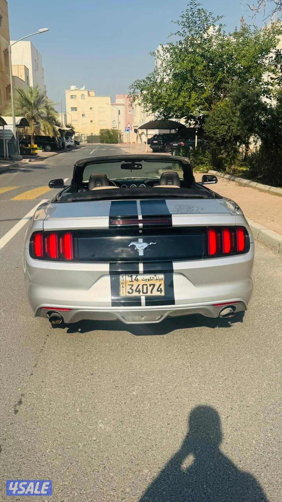 للبيع موستانج3