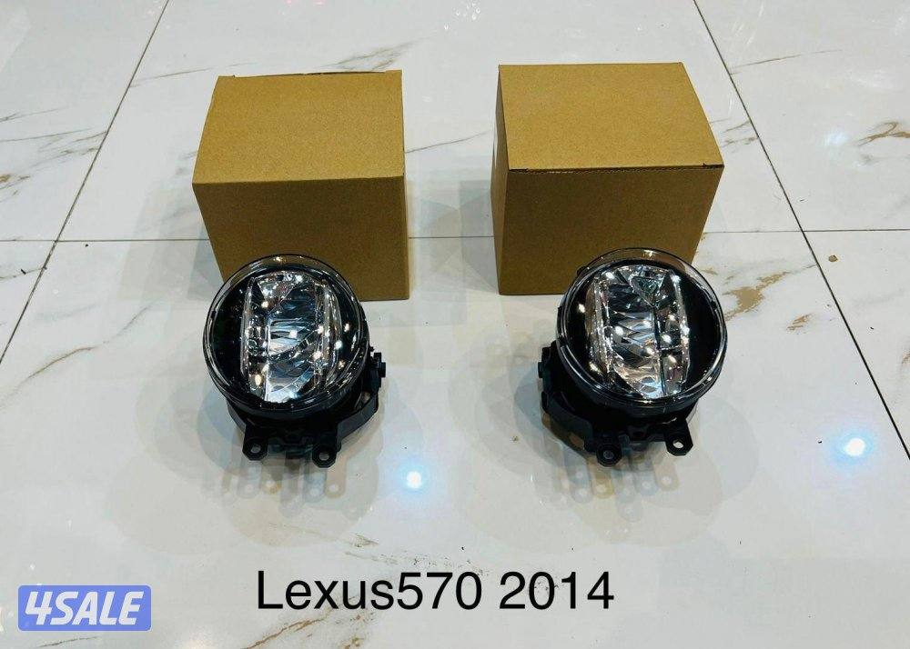 زوائد وليتات ودعاميات8