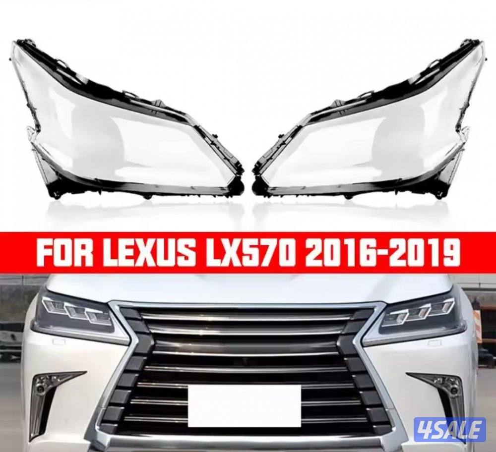 زوائد وليتات ودعاميات12