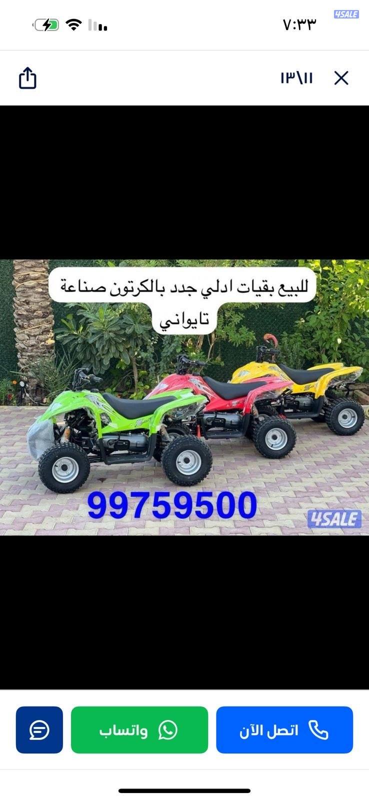 للبيع بقيات العميري جدد بالكرتون3