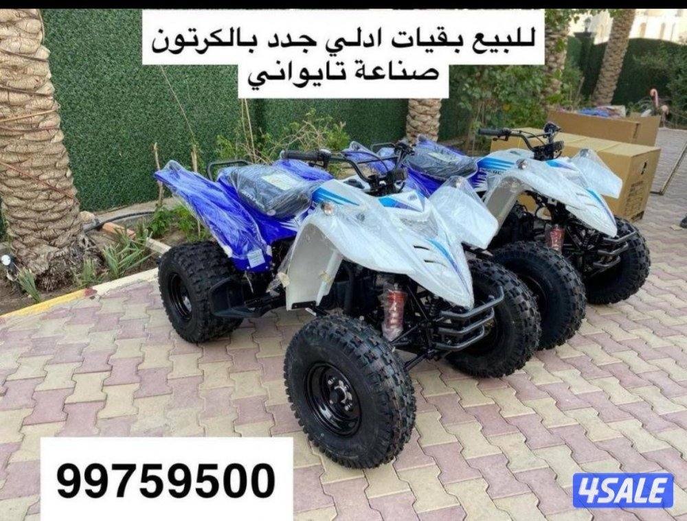 للبيع بقيات العميري جدد بالكرتون5