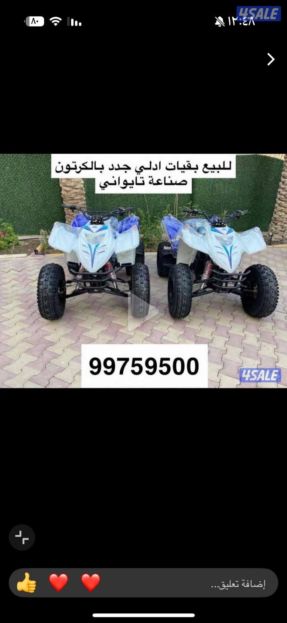 للبيع بقيات العميري جدد بالكرتون6