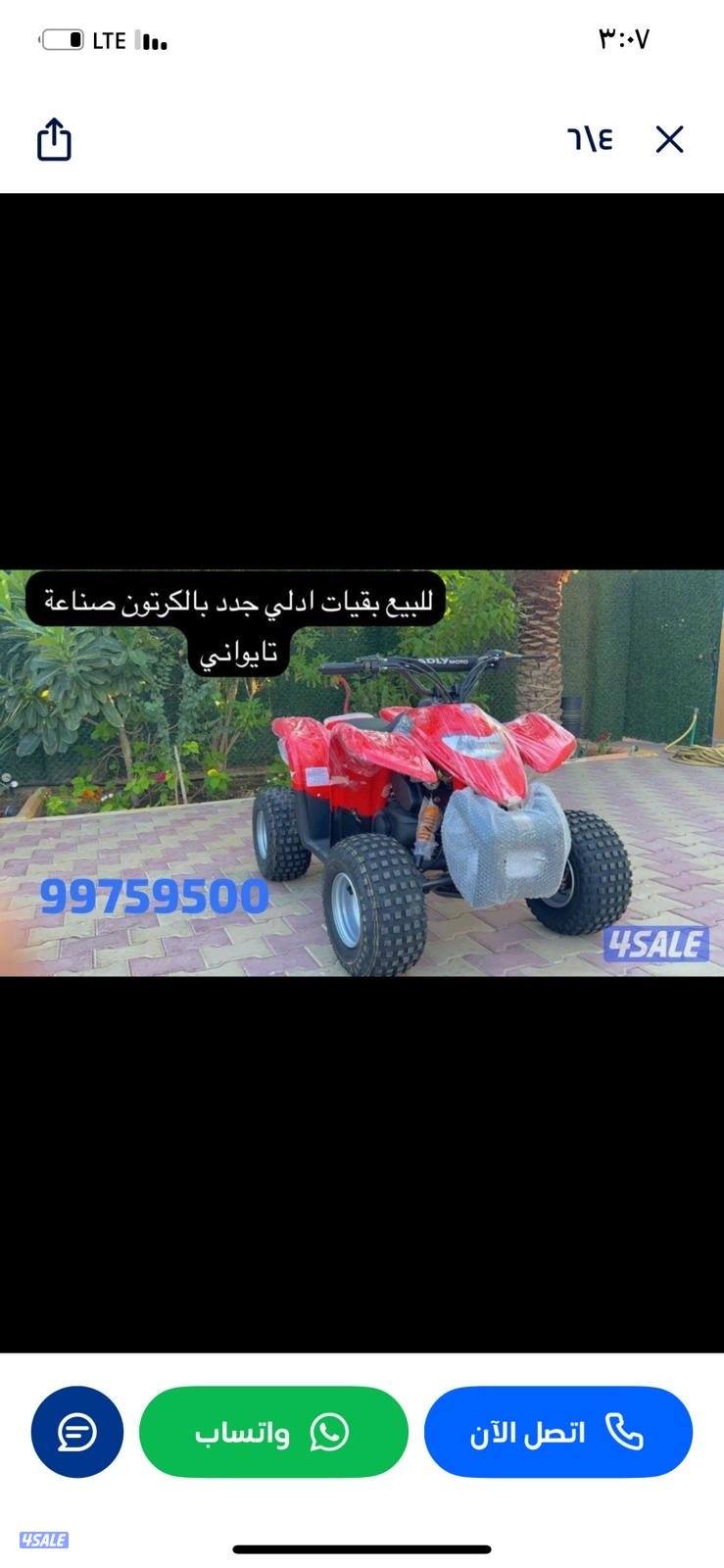 للبيع بقيات العميري جدد بالكرتون7