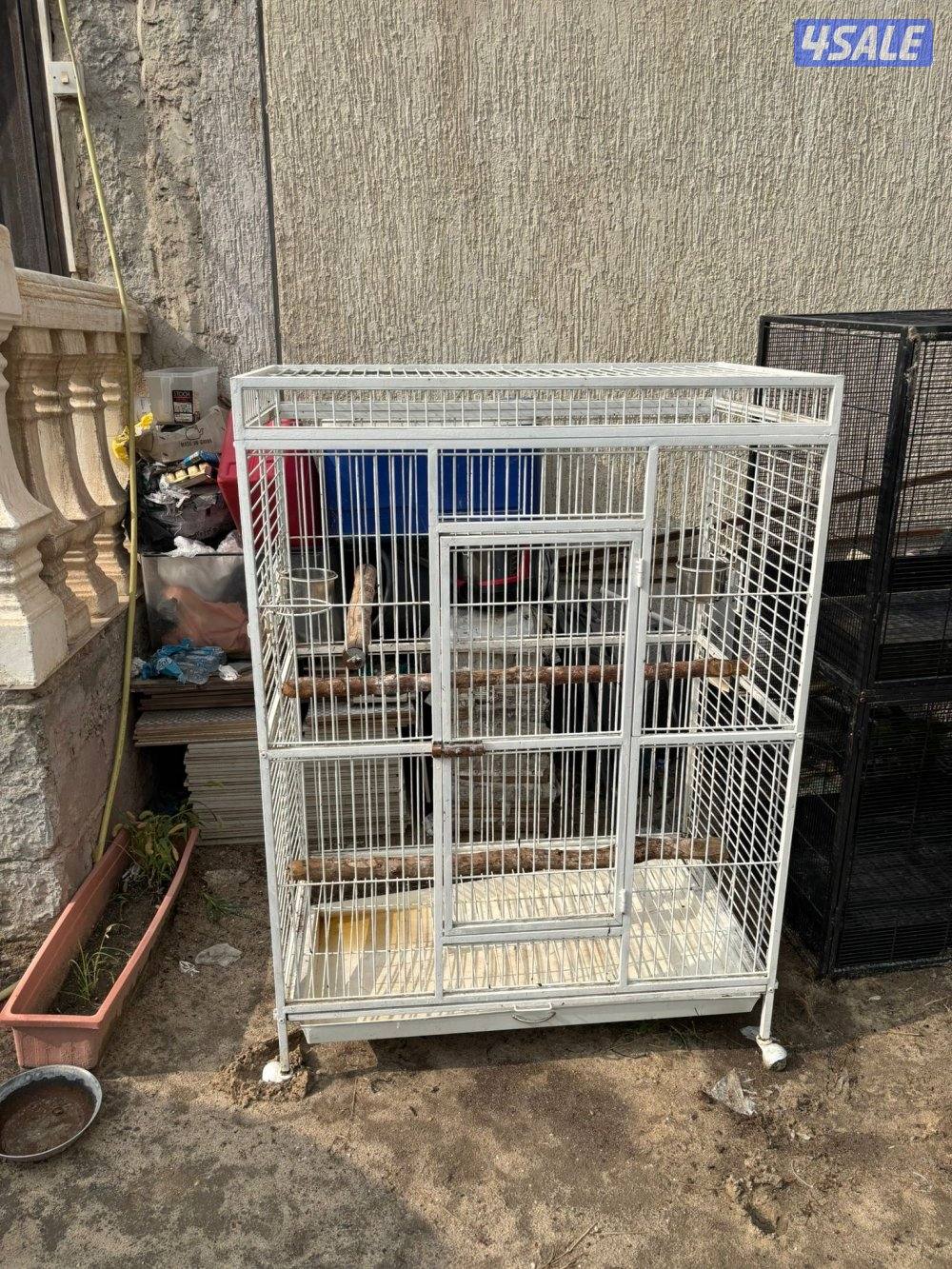 للبيع قفصين0