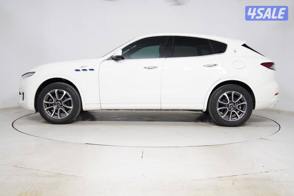 Maserti levante7