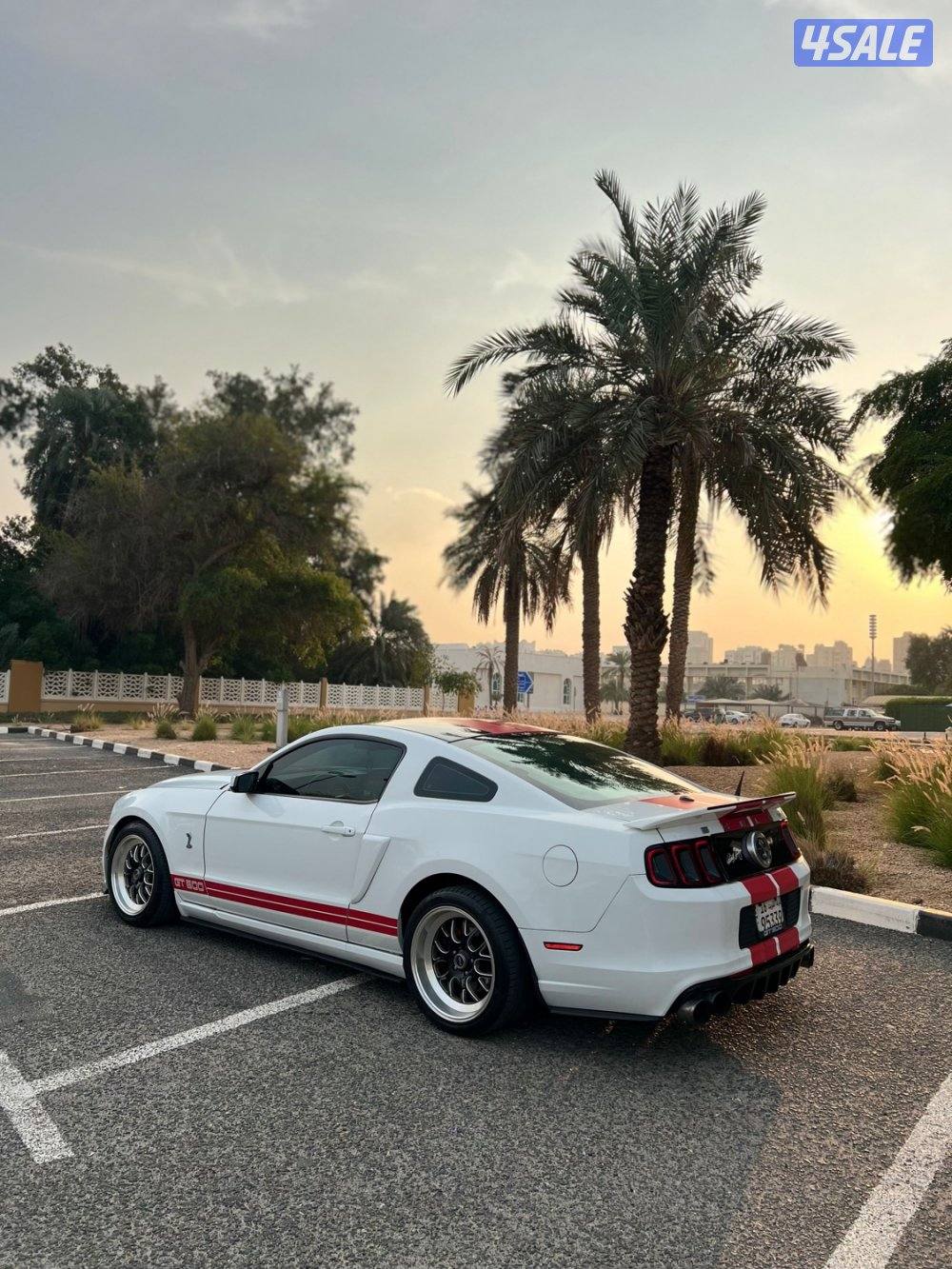 موستنق 2011/قير عادي3