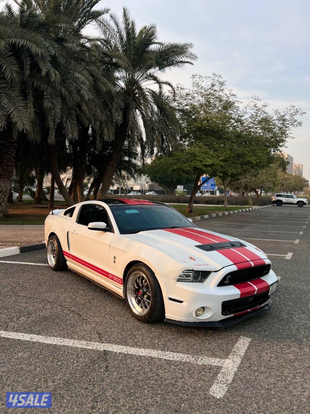 موستنق 2011/قير عادي4