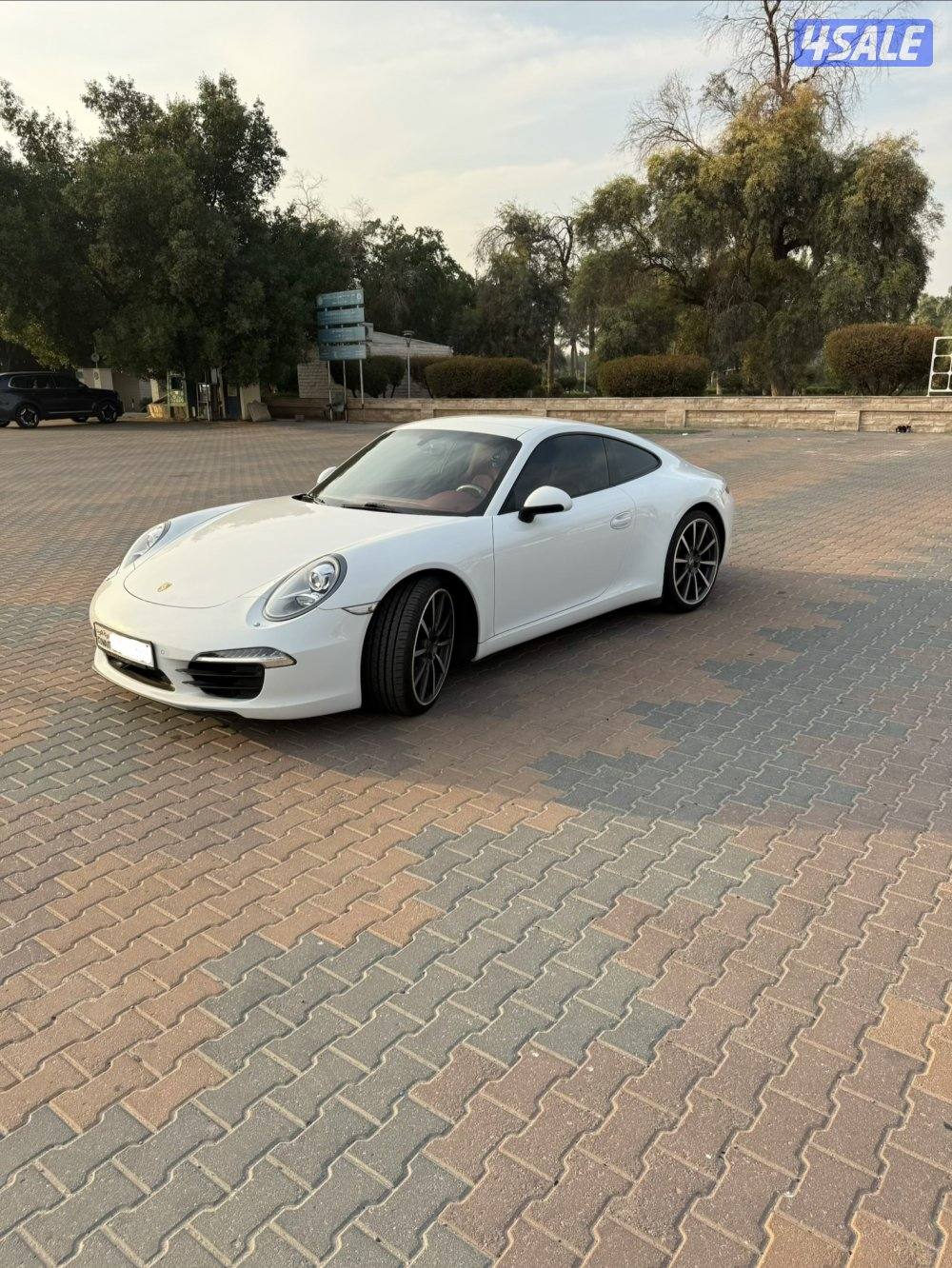 Porsche  911 Carrera - بورش ٩١١ كريرا 20138