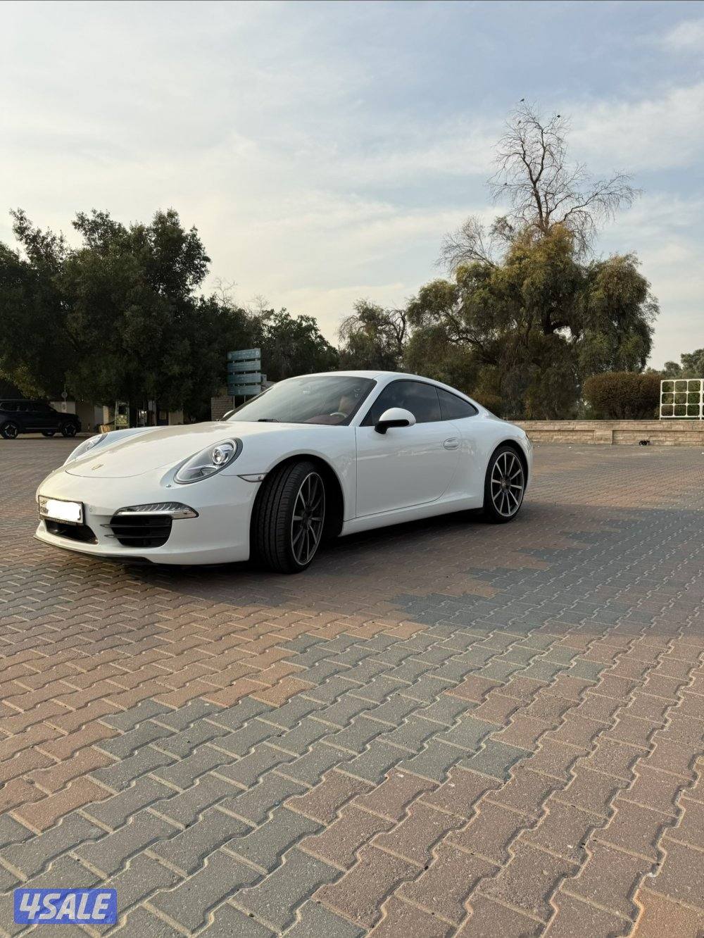 Porsche  911 Carrera - بورش ٩١١ كريرا 20139