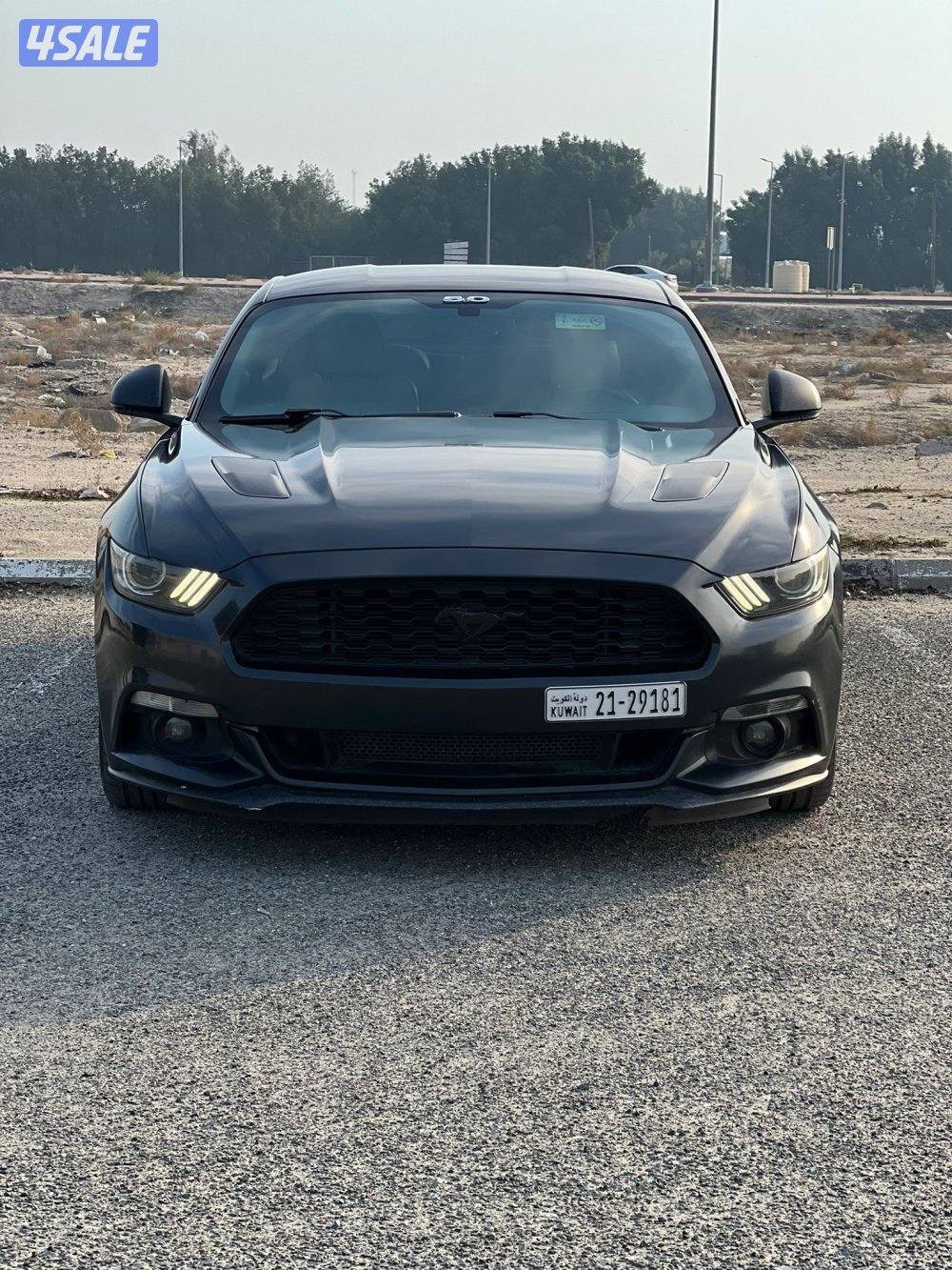 للبيع موسنتق قير عادي الفل3