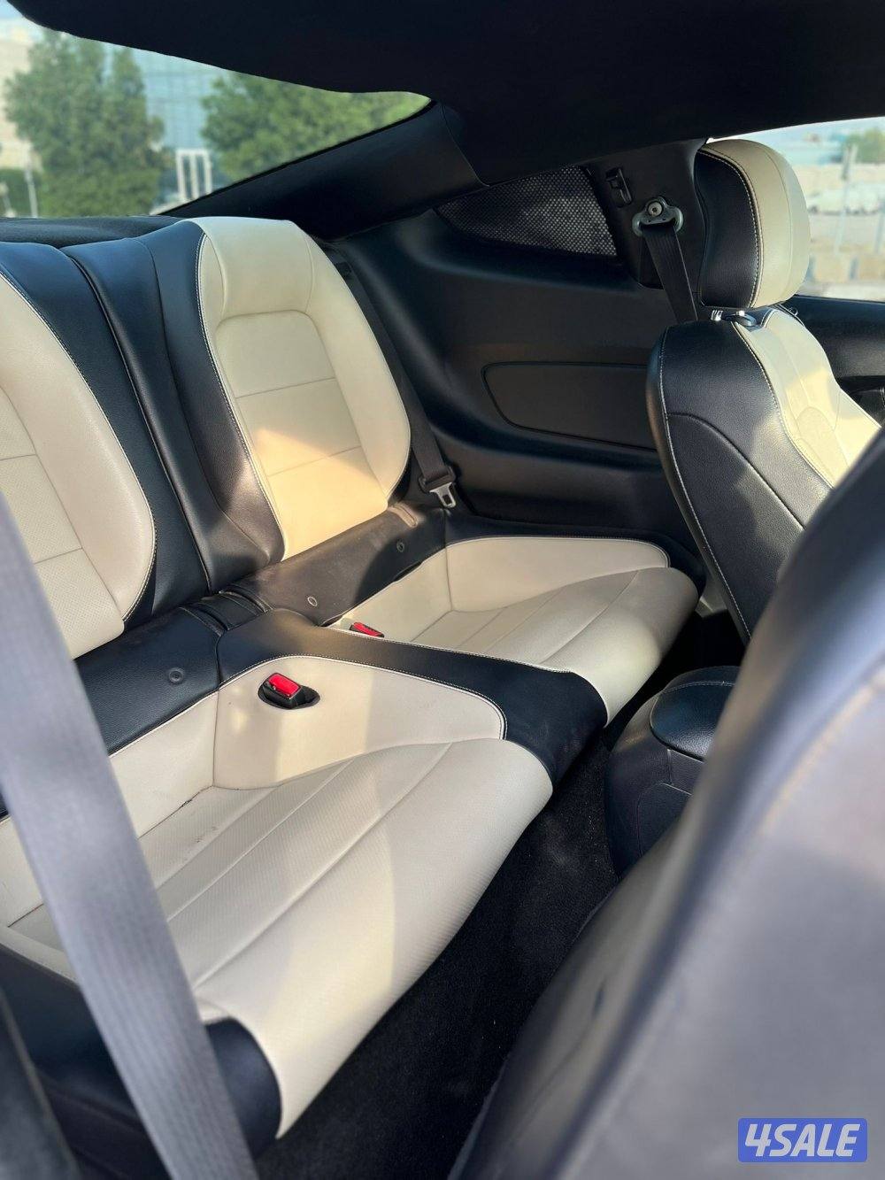 للبيع موسنتق قير عادي الفل8