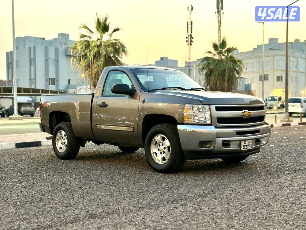 سلفرادو 20131