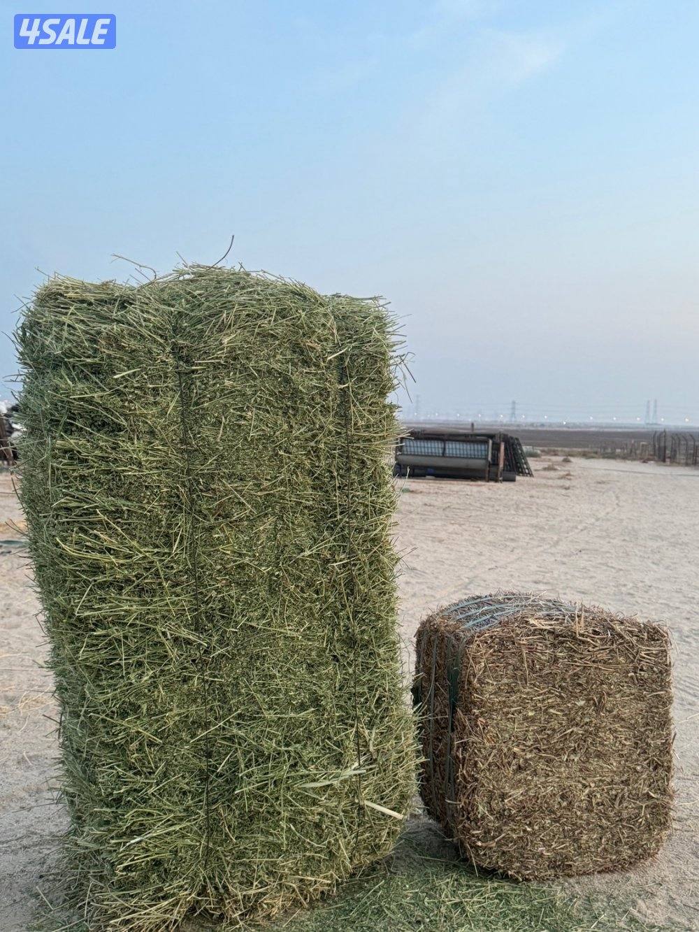 بيعه سريعه اعلاف حلال برسيم مزارع السالم وفول سوداني جمله على دينار1