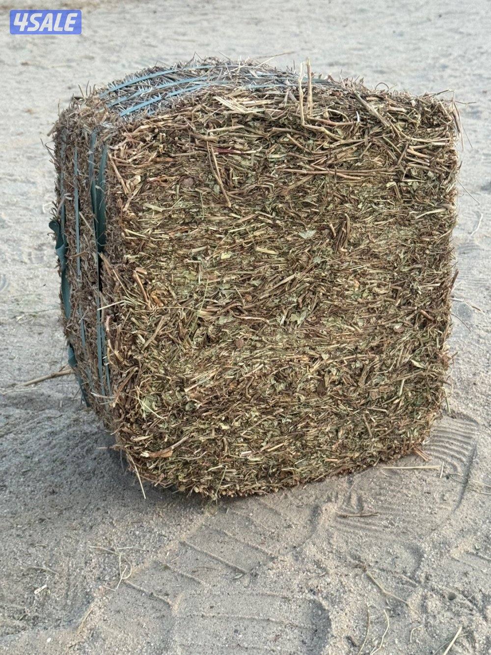 بيعه سريعه اعلاف حلال برسيم مزارع السالم وفول سوداني جمله على دينار2