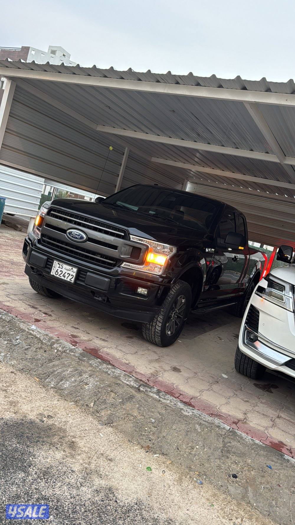 شرط الفحص صبغ الوكاله2